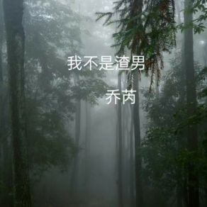 Download track 我不是渣男 (伴奏) 乔芮