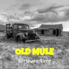 Download track Homespun Blues Old Mule