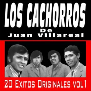 Download track Yo No Dejo La Bebida Los Cachorros De Juan Villarreal