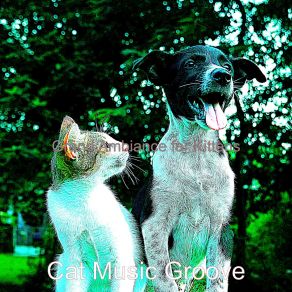 Download track Sublime Backdrops For Kittens Cat Music Groove