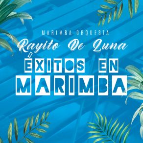 Download track Cuando Cae La Lluvia Marimba Orquesta Rayito De Luna