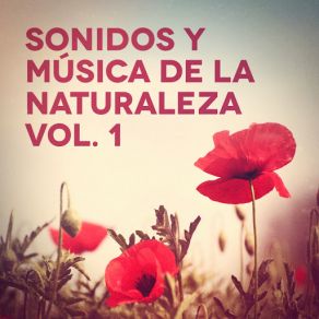 Download track Sonidos Del Río: Vientos Diversos En Un Arroyo Musica Para EstudiarMichael Hamilton