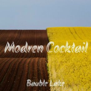 Download track Modren Cocktail Bauble Lake