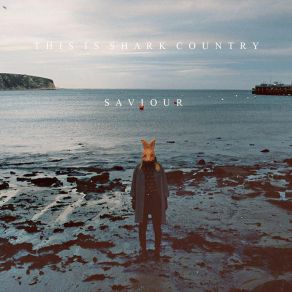 Download track The Brave This Is Shark Country