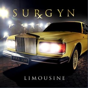 Download track Limousine (Slammed In The Back Door By RAVE THE REQVIEM) Surgyn