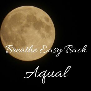 Download track Breathe Easy Bach Aqual