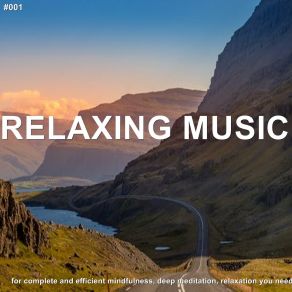 Download track Soothing Peace Relaxing Spa Music