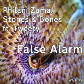 Download track False Alarm (Philani Zuma's Back To The Music Mix) The Bones, Stones, Tweety, Philani Zuma