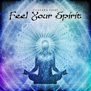 Download track Meditation Practice Chakara Tunes