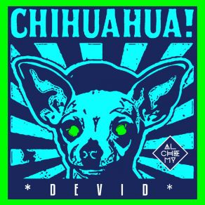 Download track Chihuahua Devid