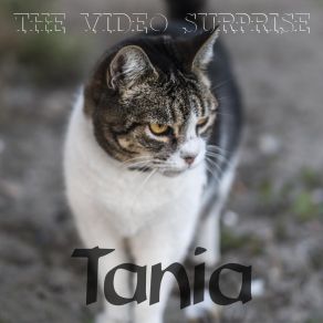 Download track Just For Laughs Tania