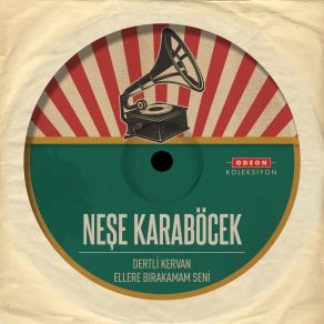 Download track Ellere Bırakmam Seni Neşe Karaböcek