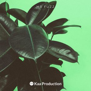 Download track Orange Skies Mr. Fuzz