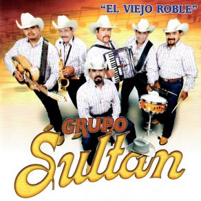 Download track Vente Ven Grupo Sultan