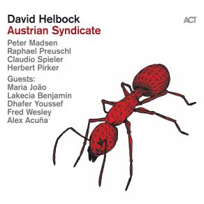 Download track Grundbira Dance David Helbock