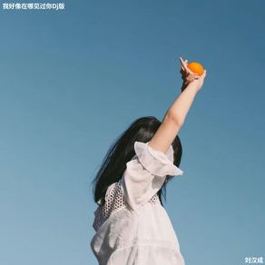 Download track 如意 (Dj版) 刘汉成