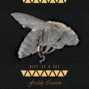 Download track Buzz Buzz A Diddle It Freddy Cannon