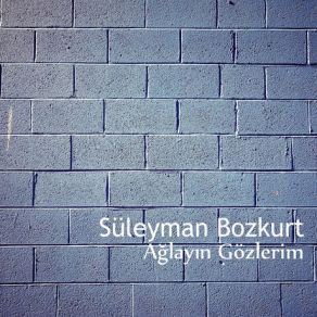 Download track Medine Sultanı Süleyman Bozkurt