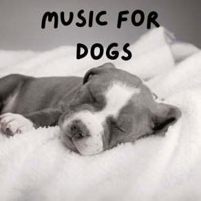 Download track Deep Sleep For Dogs Calm Pets Music Academy