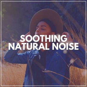 Download track Ambient Noises Of Healing Sweetness, Pt. 3 Sleep Sounds Ambient Noises