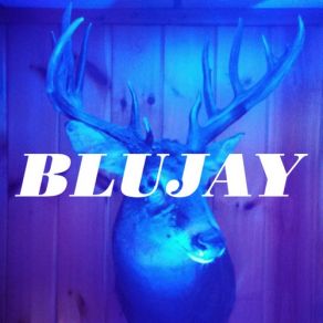 Download track Pretty Things Blujay