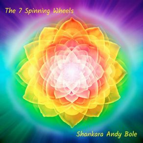 Download track Sahasrara Shankara Andy Bole