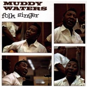 Download track You Can't Lose What You Never Had Muddy Waters