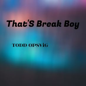 Download track Let's Wear A Shiny Shirt After Days Of Abrasion Todd Opsvigg