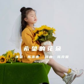 Download track 希望的花朵 (伴奏) 陈洛晴