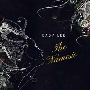 Download track The Namesic (Original Mix) Easy Lee