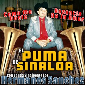 Download track Como Me Duele El Puma De Sinaloa