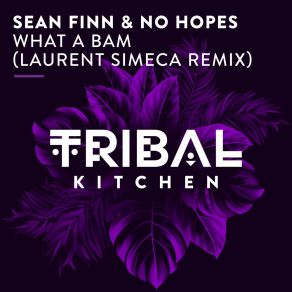 Download track What A Bam (Laurent Simeca Remix) No HopesLaurent Simeca