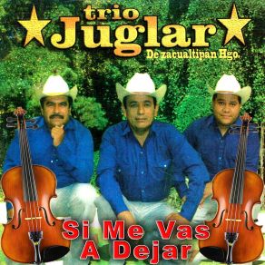 Download track Me Estoy Portando Mal Trio Juglar De Zacuaitipan Hidalgo