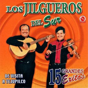 Download track El Troquero Los Jilgueros Del Sur