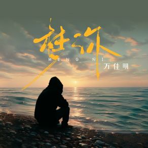 Download track 梦你 (伴奏版) Wan Jia Ming