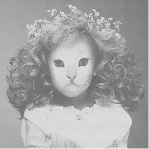 Download track Carnations Mr. Kitty