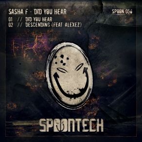 Download track Did You Hear (Original Mix) Sasha F