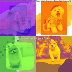 Download track Background For Relaxing Pups Music For Puppies Bgm