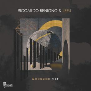 Download track Moonseed Riccardo Benigno