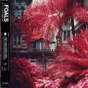 Download track Cafe D'Athens Foals