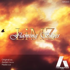 Download track Flaming Skies (Radio Edit) LiMZ