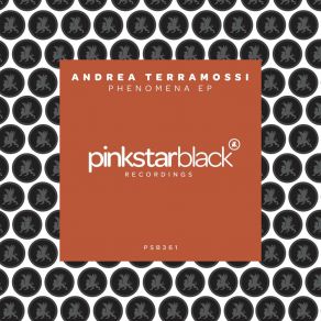 Download track Phenomena Andrea Terramossi