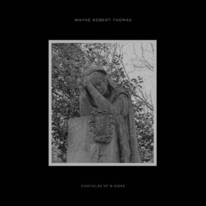 Download track Whispering Hills (At Night) Wayne Robert Thomas