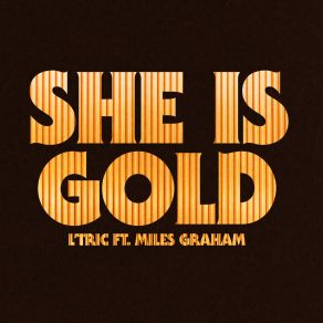 Download track She Is Gold (Sgt Slick's Discotizer Remix) Miles GrahamSgt. Slick