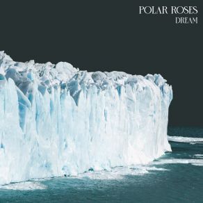 Download track Dream Polar Roses