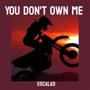 Download track You Don't Own Me (Nightcore Remix) ESCALAD