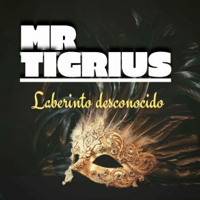 Download track Lucky Numbers Mr Tigrius