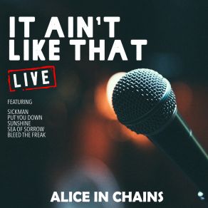 Download track Radio Outro (Live) Alice In Chains