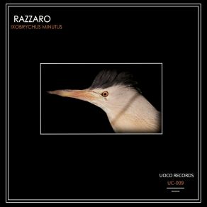 Download track Minutus Razzaro