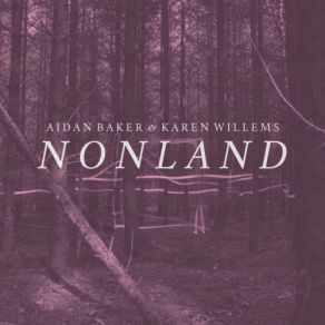 Download track Like A Soft Rain Coming Aidan Baker, Karen Willems